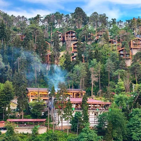 Hotel Hancioglu Orman Evleri & 4*