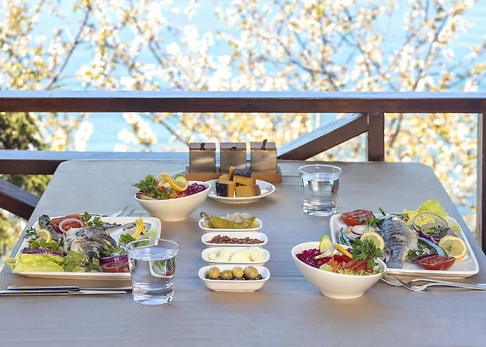 Hancioglu Orman Evleri &