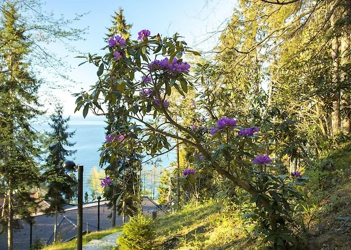 Hotell Hancioglu Orman Evleri &