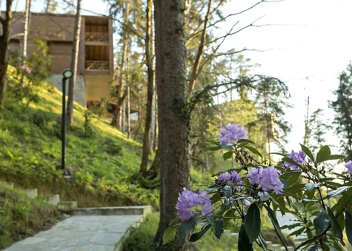 Hotell Hancioglu Orman Evleri & Trabzon