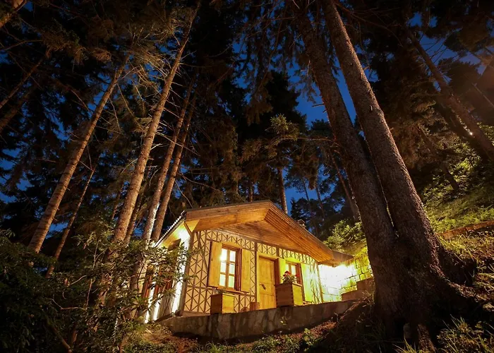 Hotell Hancioglu Orman Evleri &