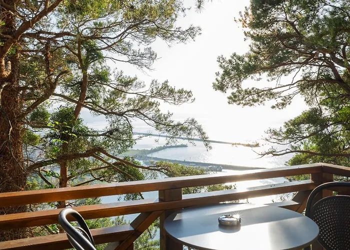 Hancioglu Orman Evleri & 4*