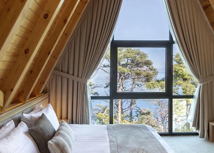 Hancioglu Orman Evleri &