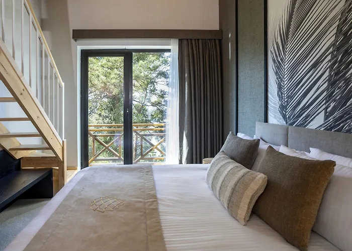 Hancioglu Orman Evleri & 4* Trabzon