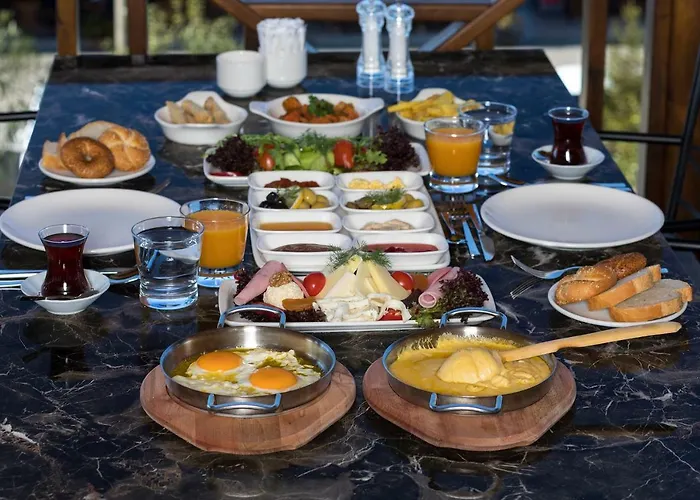 Hancioglu Orman Evleri & Hotell Trabzon