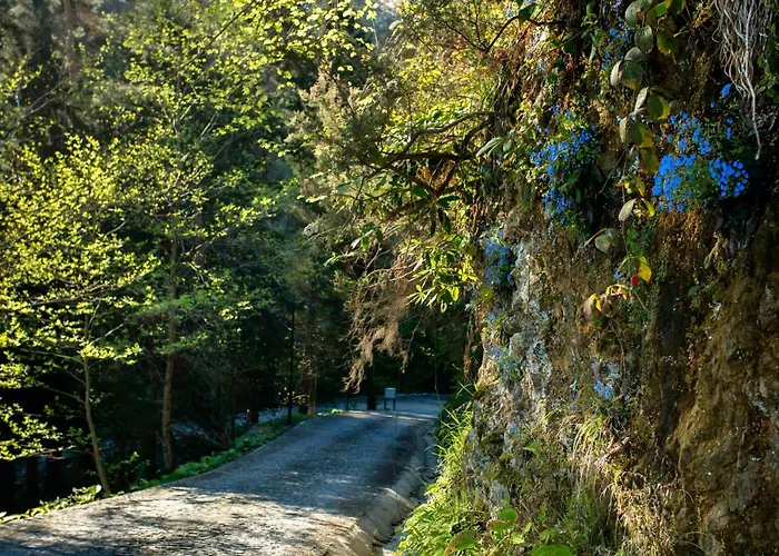 Ξενοδοχείο Hancioglu Orman Evleri & 4*