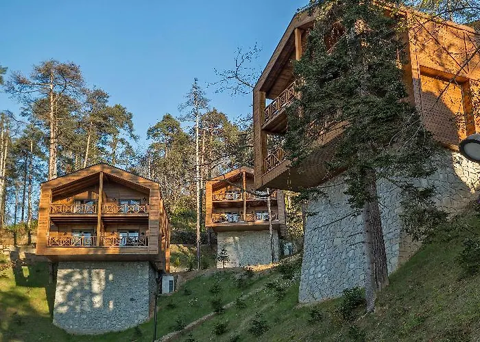 Hancioglu Orman Evleri & 4* Τραμπζόν