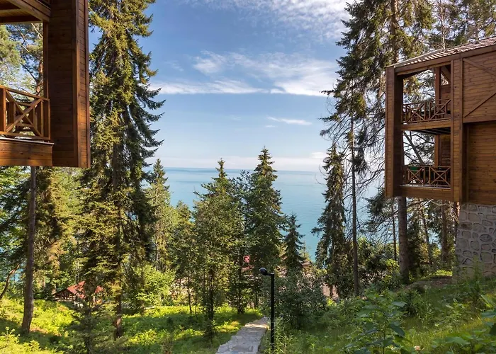 Hancioglu Orman Evleri &