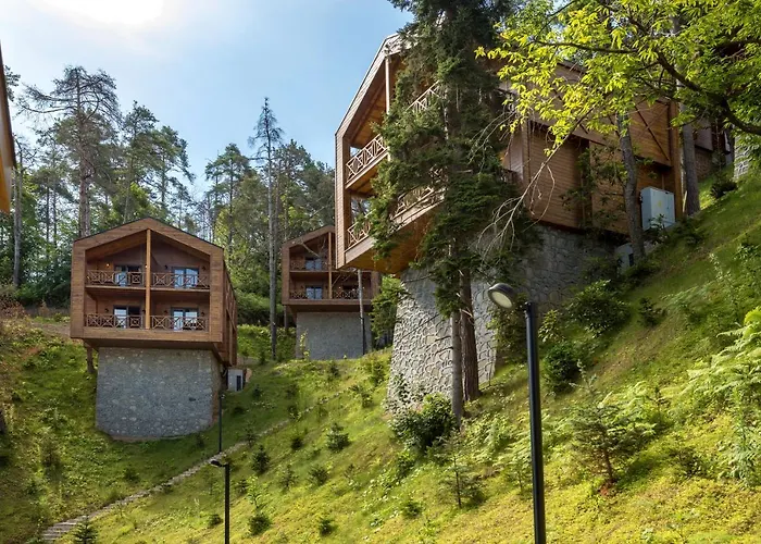 Hotell Hancioglu Orman Evleri & Trabzon