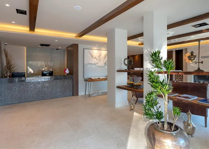 Hotell Hancioglu Orman Evleri &