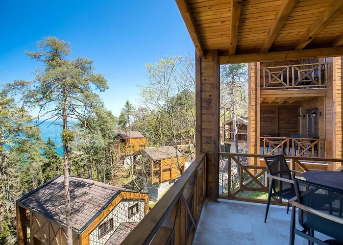 Hancioglu Orman Evleri & Trabzon