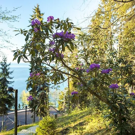 ホテル Hancioglu Orman Evleri &