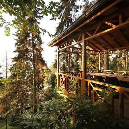 Hancioglu Orman Evleri &