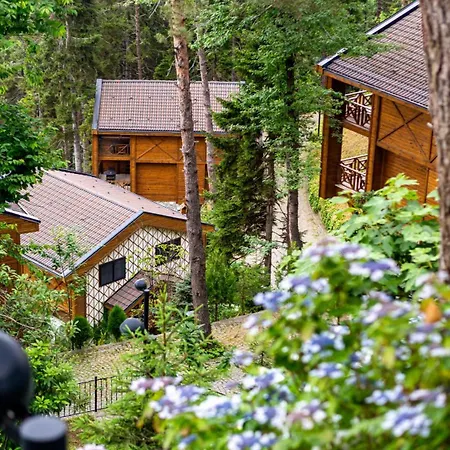 Hotel Hancioglu Orman Evleri & Trabzon