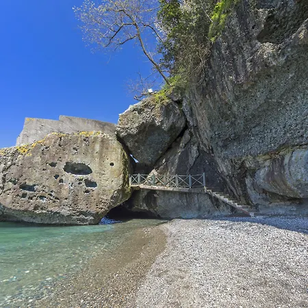 ホテル Hancioglu Orman Evleri &