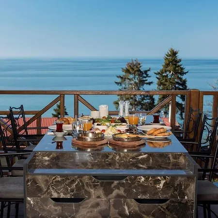 ホテル Hancioglu Orman Evleri &