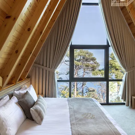 Hancioglu Orman Evleri &