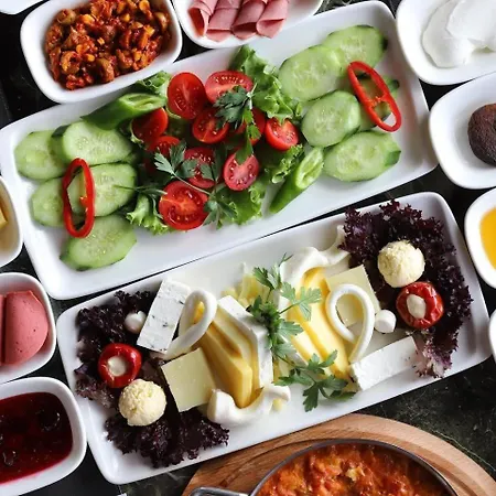 호텔 Hancioglu Orman Evleri &