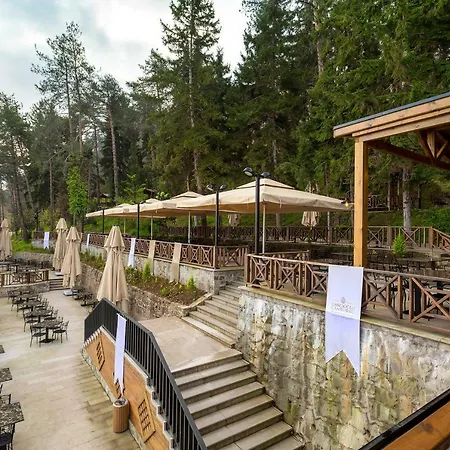 Hancioglu Orman Evleri & 4*