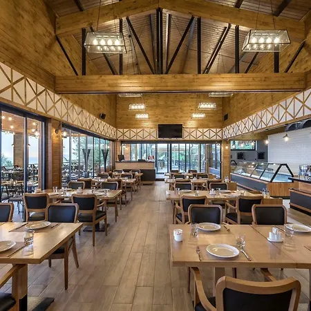 Hancioglu Orman Evleri &