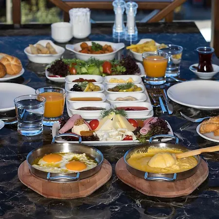 Hancioglu Orman Evleri & ホテル トラブゾン