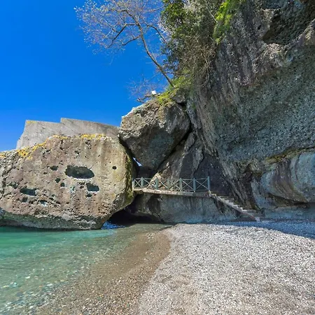 Hancioglu Orman Evleri & ホテル