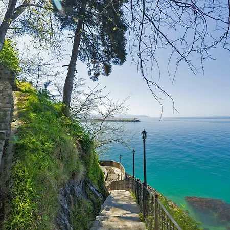 Hotel Hancioglu Orman Evleri & 4*