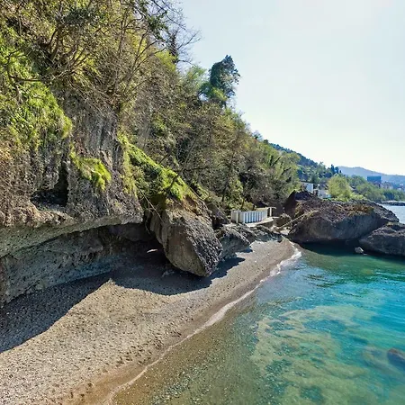 Hancioglu Orman Evleri & ホテル