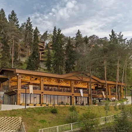 Hancioglu Orman Evleri & ホテル 4*