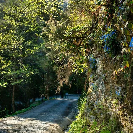 Hotel Hancioglu Orman Evleri & 4*