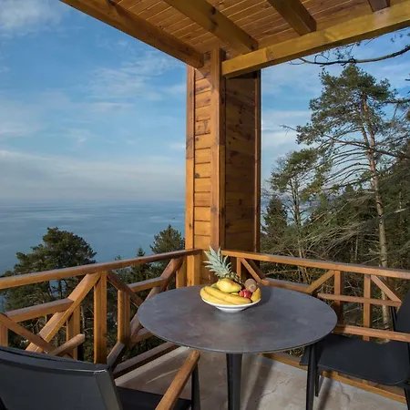 Otel Hancioglu Orman Evleri Trabzon