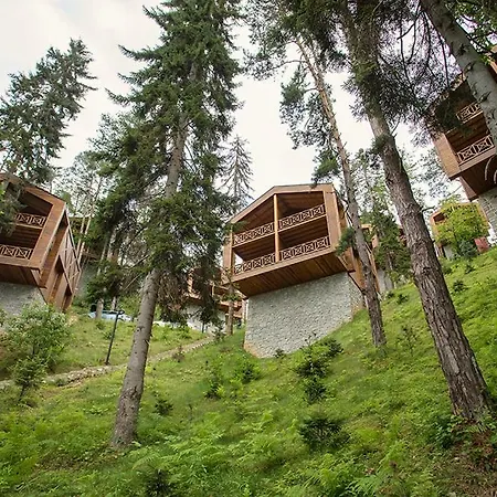 Hotel Hancioglu Orman Evleri & 4*