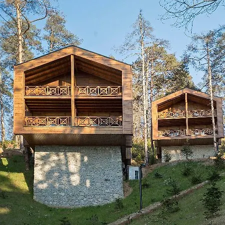 Hancioglu Orman Evleri &