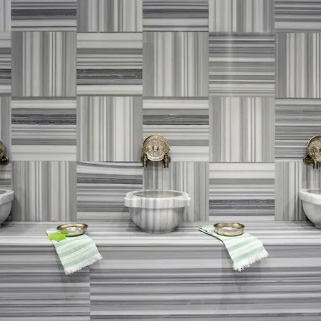 Hancioglu Orman Evleri & ホテル トラブゾン