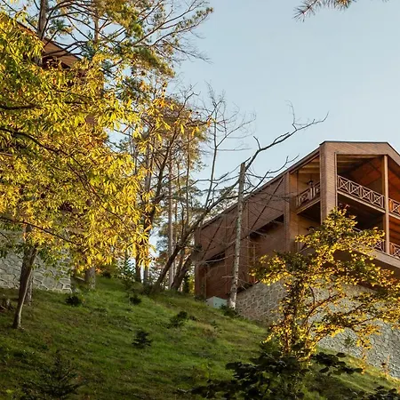 Hancioglu Orman Evleri &