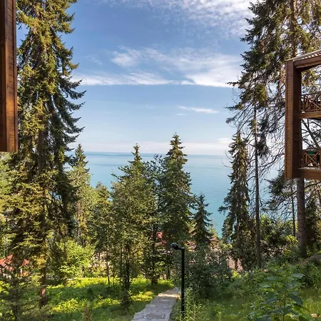 Hancioglu Orman Evleri &