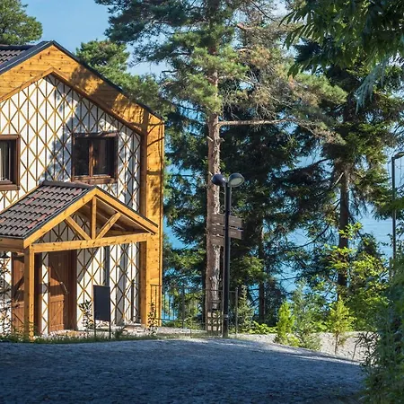 Hancioglu Orman Evleri & Hotel