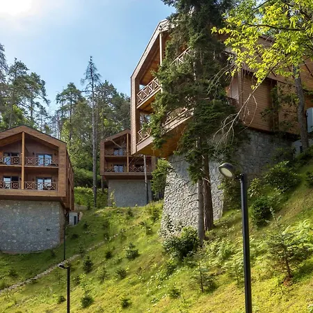 Hotel Hancioglu Orman Evleri & Trabzon