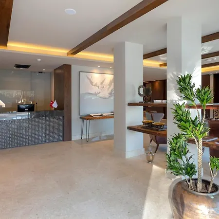 ホテル Hancioglu Orman Evleri &