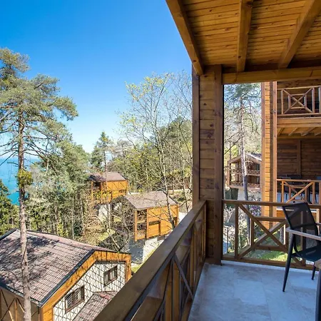 Hancioglu Orman Evleri & トラブゾン