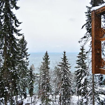 Hancioglu Orman Evleri & ホテル トラブゾン