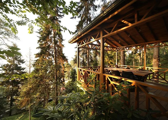 Hancioglu Orman Evleri &