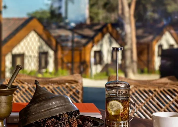 Hancioglu Orman Evleri & Hotel Trabzon