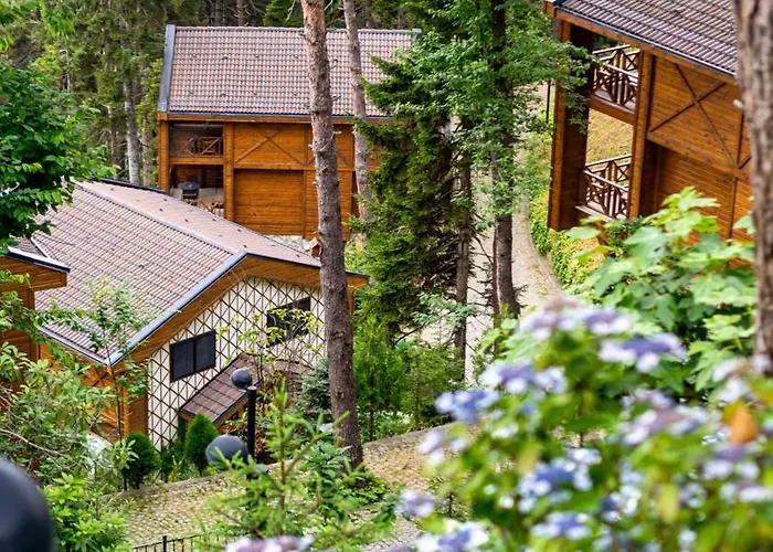 Hotel Hancioglu Orman Evleri & Trabzon