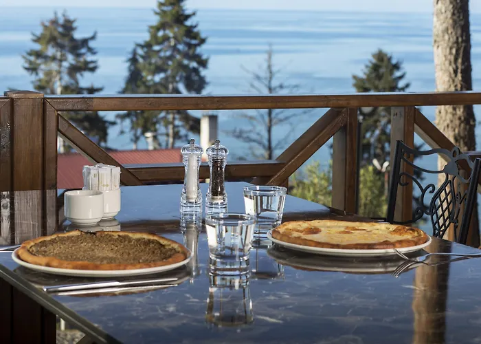 Hancioglu Orman Evleri &