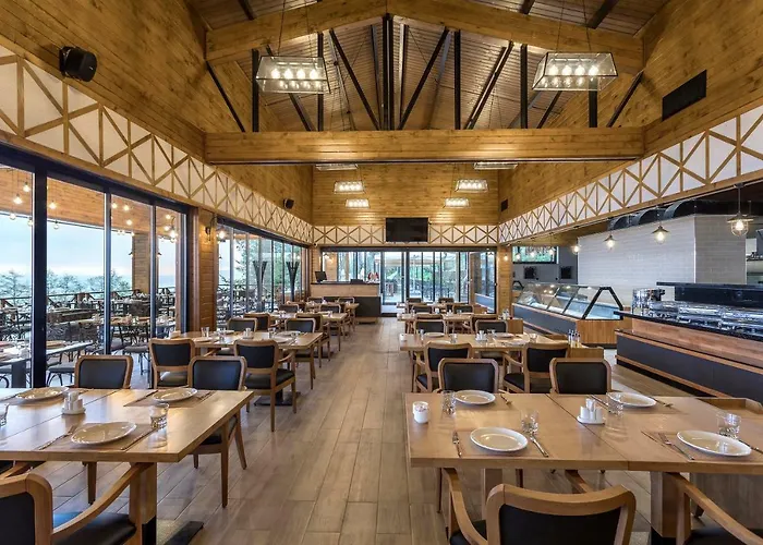 Hancioglu Orman Evleri &