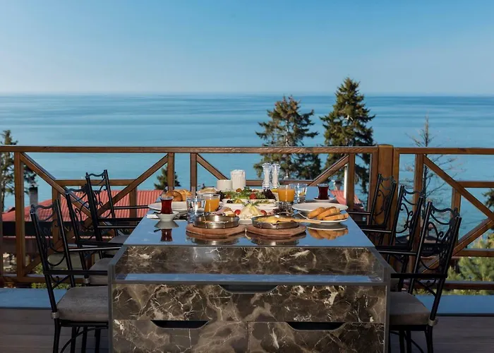 Hancioglu Orman Evleri &