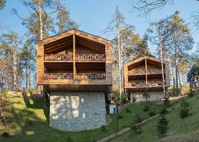 Hancioglu Orman Evleri &