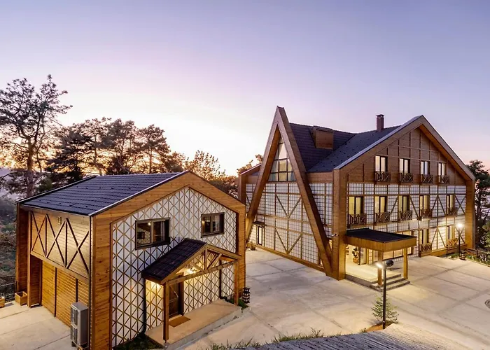 Hancioglu Orman Evleri & Trabzon