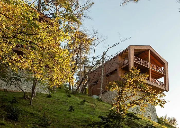 Hancioglu Orman Evleri &